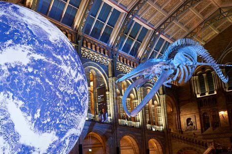 Mit tehet egy múzeum a klíma védelmében: a londoni Horniman példája